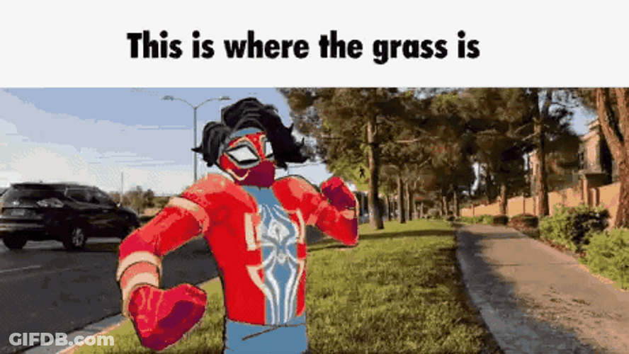 Spider Man India Style Meme GIF
