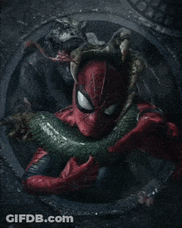 Spider Man Is Holding A Snake In His Hands GIF