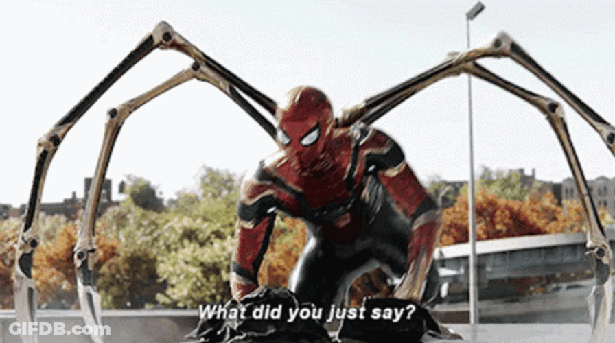 Spider Man No Way Home What Did You Say GIF