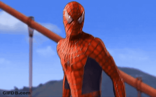 Spider-Man Standing On Bridge GIF