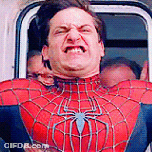 Spider Man Ugly Train Face GIF