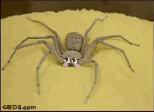 Spider On Sandpile With Smiley Face GIF
