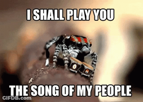 Spider Playing Drums Song Of My People GIF