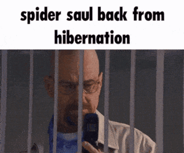 Spider Saul Hibernation GIF