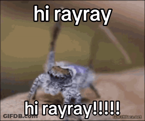Spider Saying Hi Rayray GIF
