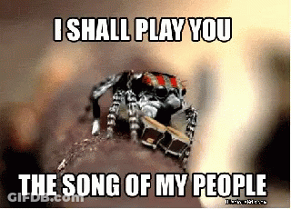 Spider Saying I Shall Play You Song GIF