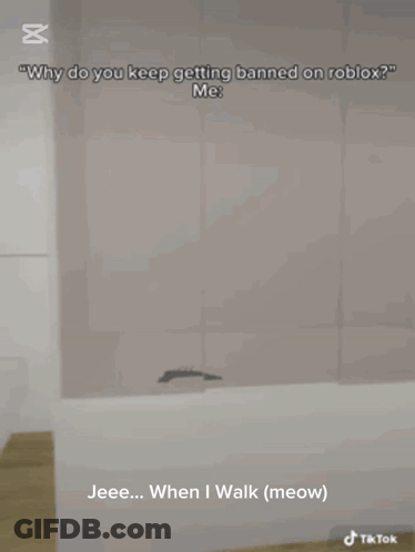Spider Silhouetted Saying Why Banned Roblox Me GIF