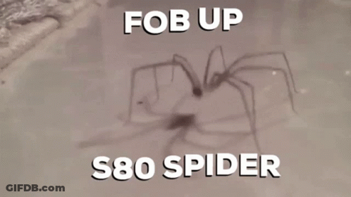 Spider With Words Fob Up S80 Spider GIF