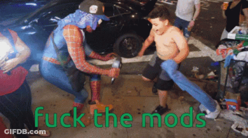 Spiderman And Shirtless Man With Fuck The Mods GIF