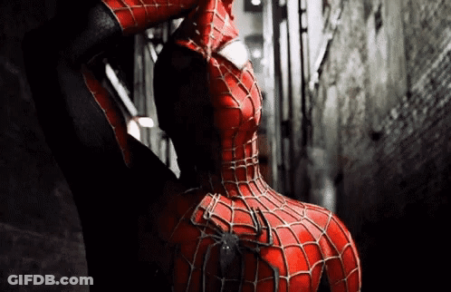 Spiderman Costume Close-Up With Spider On Back GIF