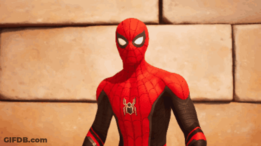 Spiderman Costume Meme GIF
