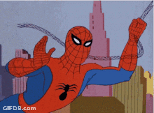 Spiderman Costume With Spider On Back GIF