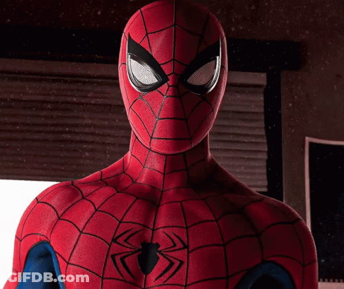 Spiderman Costume With Spider On Chest GIF