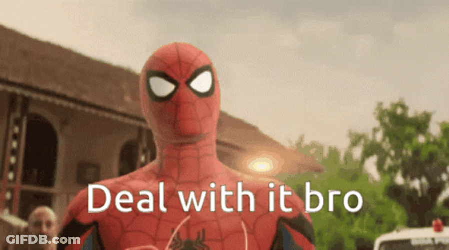 Spiderman Deal With It Bro GIF