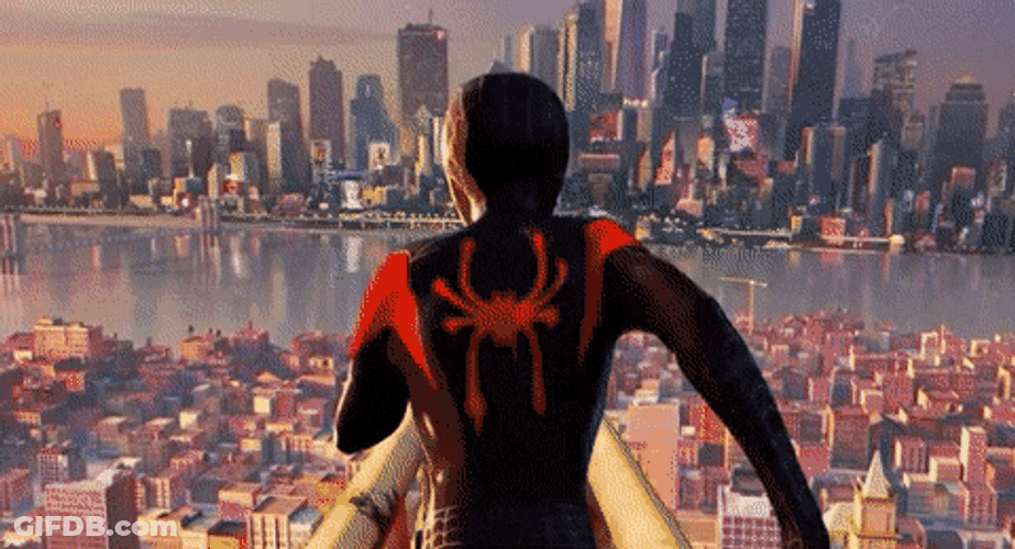 Spiderman: Into The Spider-Verse GIF