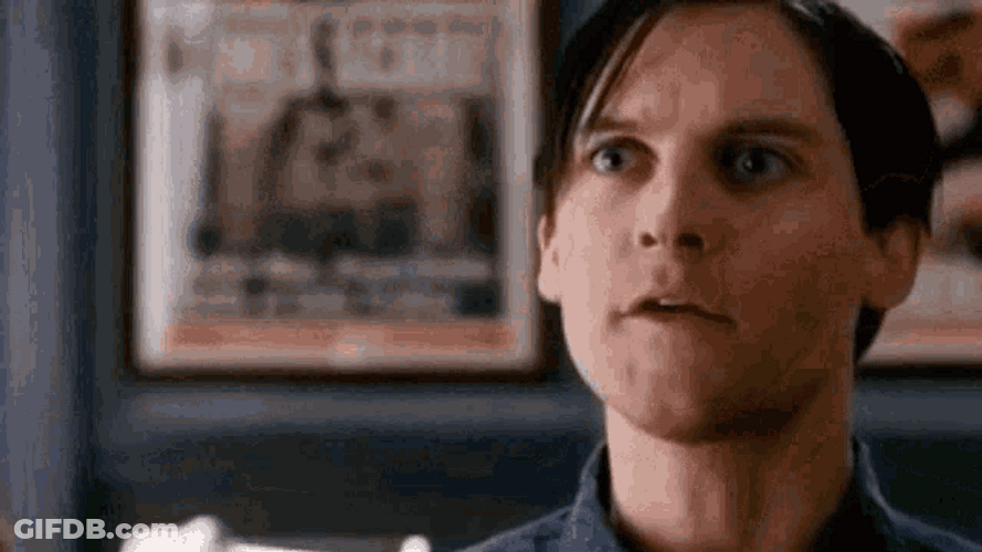 Spiderman Peter Parker Same Same But Different GIF