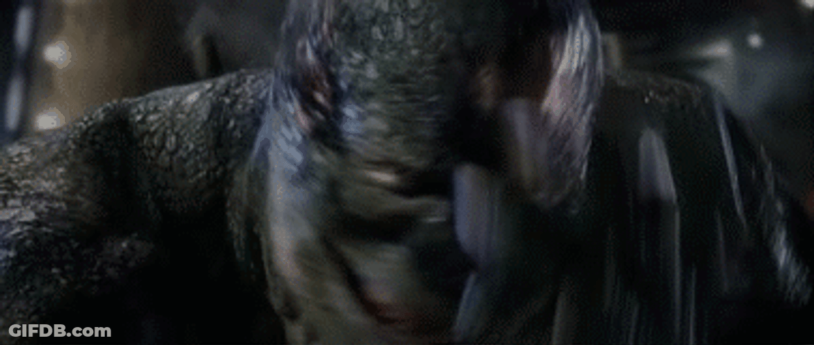 Spiderman The Lizard GIF
