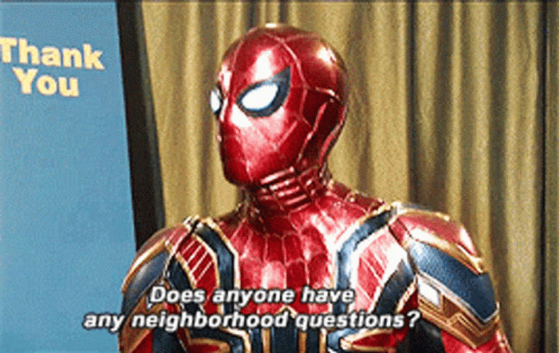 Spiderman Tom Holland As Peter Parker Any Questions GIF
