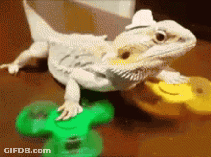 Spin Fidget Dancing Lizard GIF