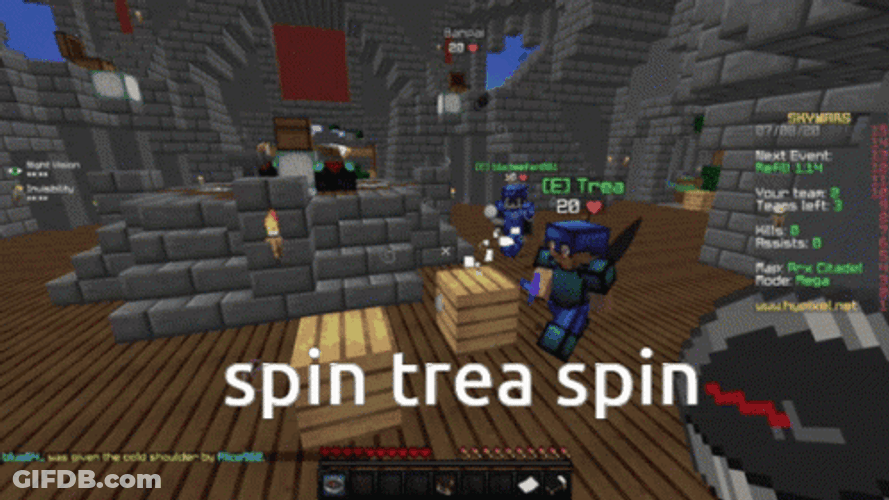 Spin Trea Spin Minecraft Gameplay Meme GIF