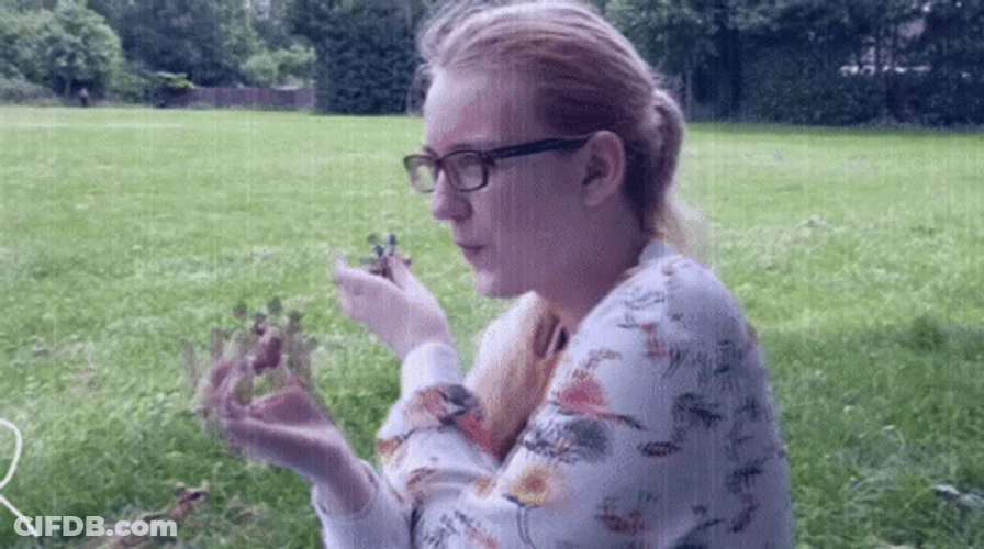 Spinner GIF