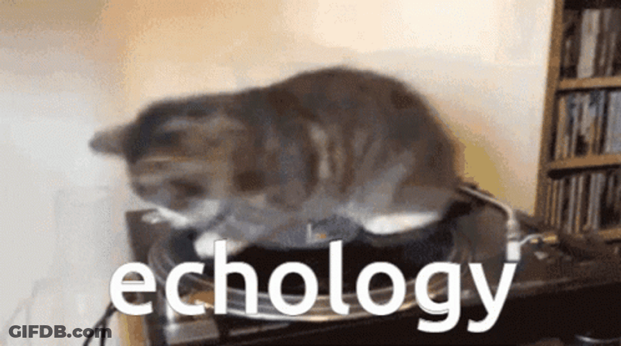 Spinning Cat Echology GIF