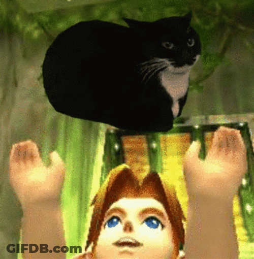 Spinning Cat Floating On Air Boy Below GIF