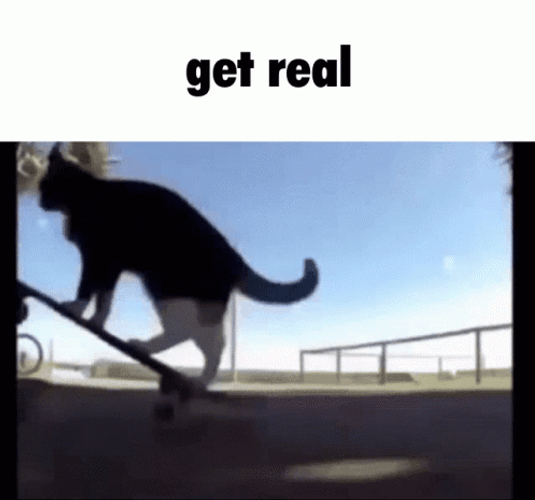 Spinning Cat Get Real GIF