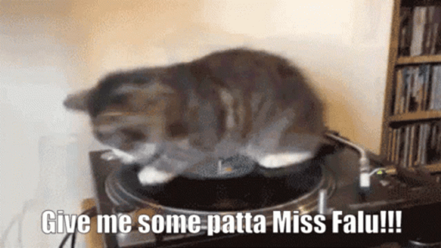 Spinning Cat Give Me Some Pasta GIF