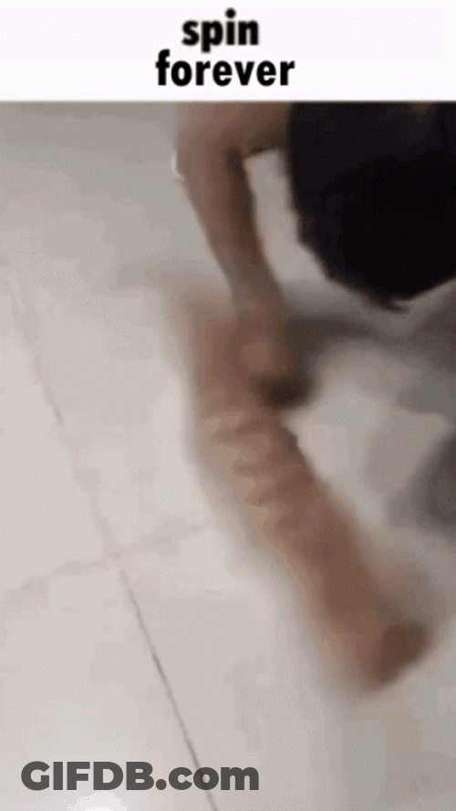 Spinning Cat Spin Forever GIF