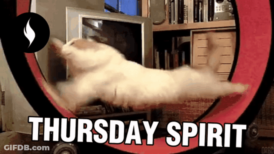 Spinning Cat Thursday Spirit Meme GIF