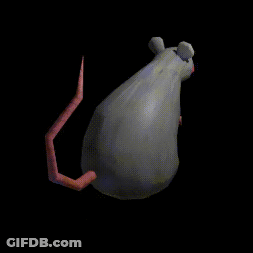 Spinning Chubby Gray Cartoon Rat GIF