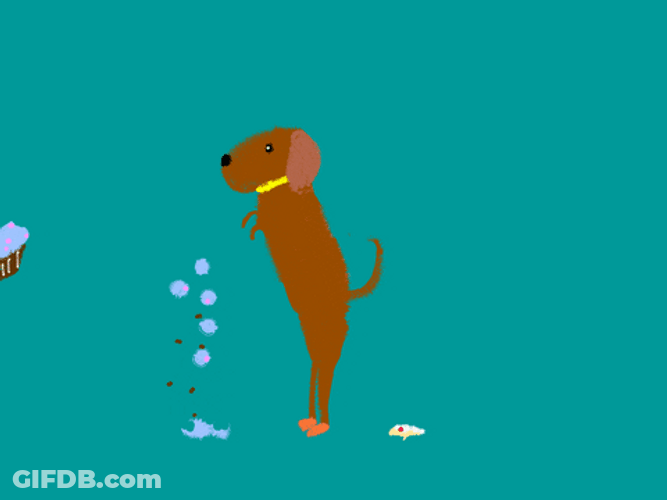 Spinning Dog Eating Floating Cupcakes GIF