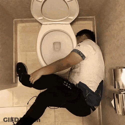Spinning Drunk In Toilet GIF