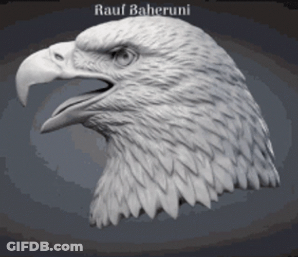 Spinning Eagle Head Monochromatic GIF
