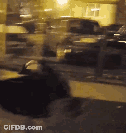Spinning Edi GIF