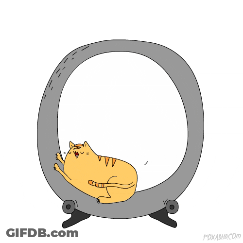 Spinning Fat Cat Cartoon GIF