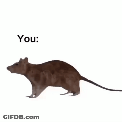 Spinning Fish And Mouse Meme GIF