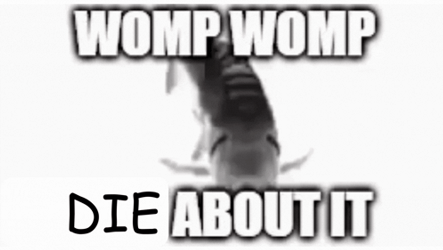 Spinning Fish Die About It Meme GIF