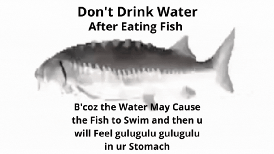 Spinning Fish Friendly Reminder Meme GIF