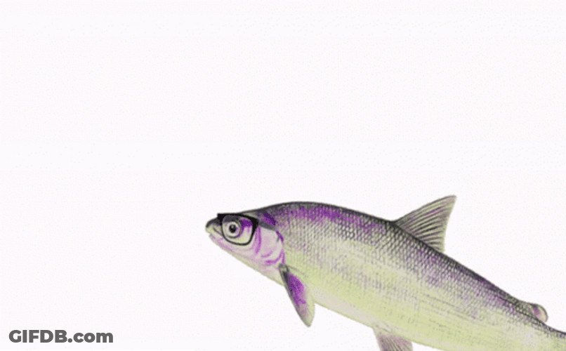 Spinning Fish Getting Pets Animation GIF