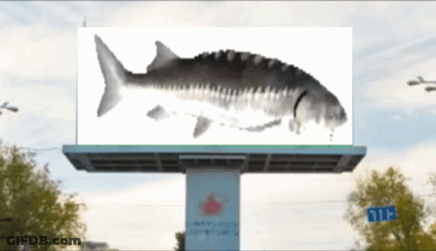 Spinning Fish Giant Billboard GIF