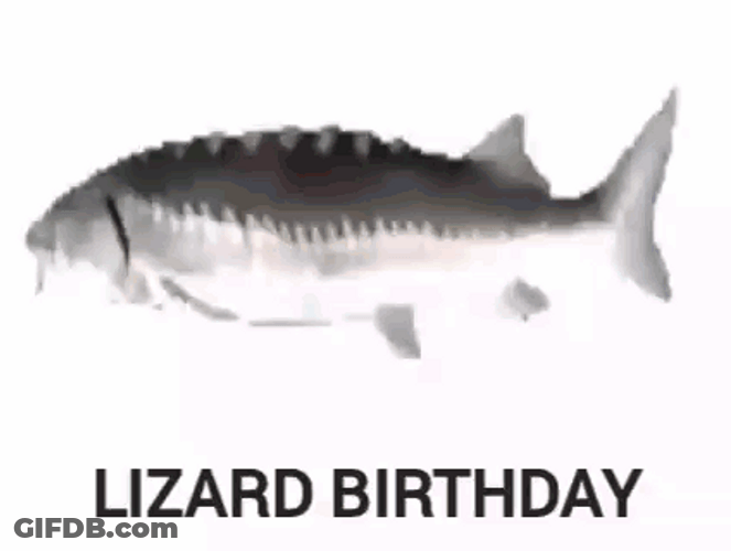 Spinning Fish Lizard Birthday Parody GIF