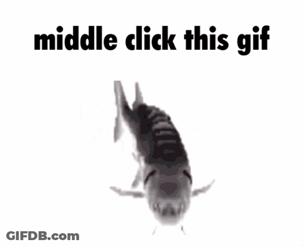 Spinning Fish Middle Click Meme GIF