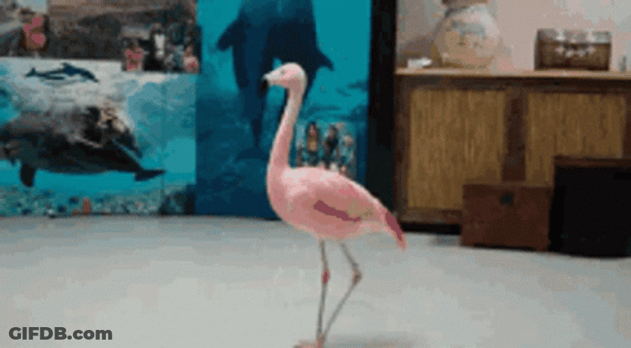 Spinning Flamingo GIF