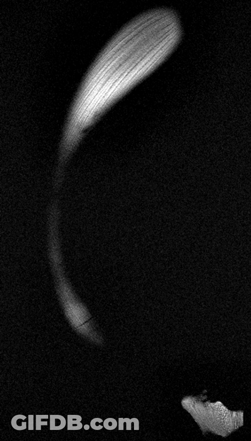 Spinning Formation Of Banana GIF