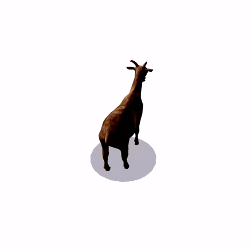 Spinning Goat GIF