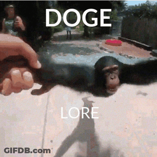 Spinning Monkey Doge Coin Meme GIF