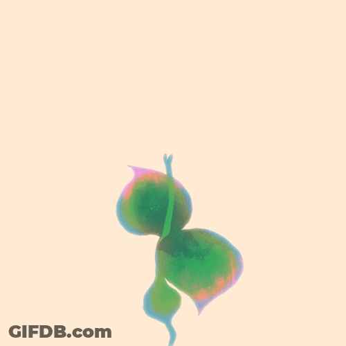 Spinning Plant Growing Fast GIF
