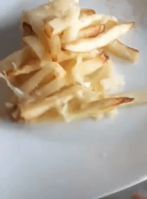 Spinning Plate Of French Fires Chips GIF
